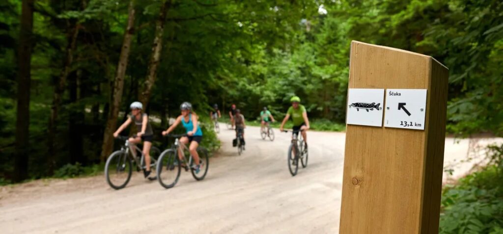 Cycling in Slovenia countryside near Lake Cerknica